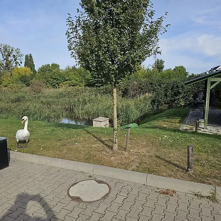 Ergo بيت شباب بوزنان