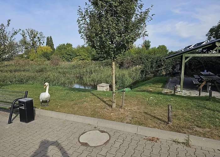 Ergo 호스텔 포즈난