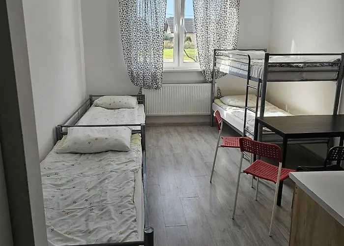 Ergo * Познань